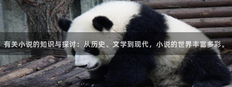 海棠小说城